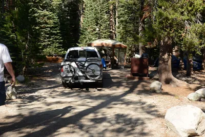 DSC_3524 (Large).JPG